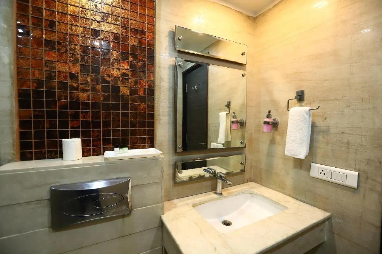 Hotel Twin Tree Naraina Delhi Local Ids Allowed New Delhi