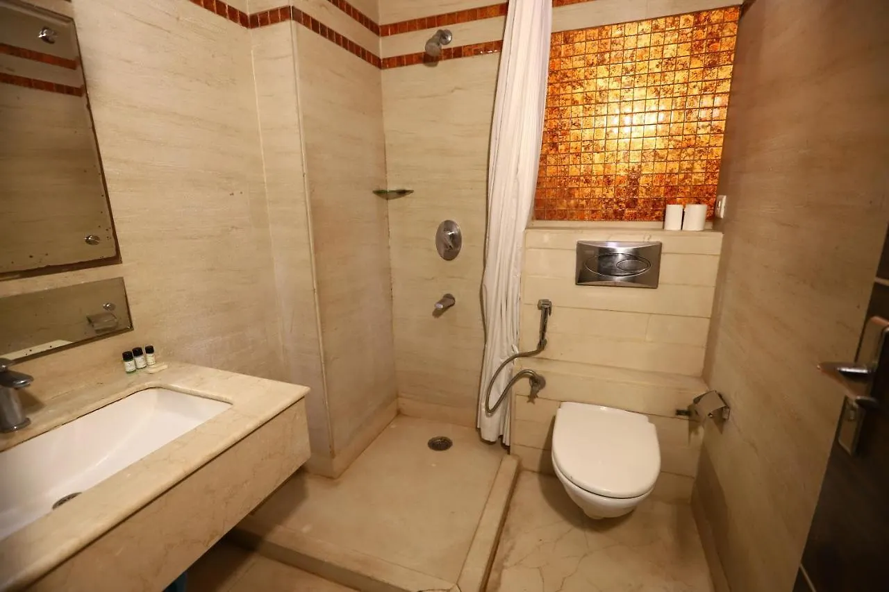Hotel Twin Tree Naraina Delhi Local Ids Allowed New Delhi